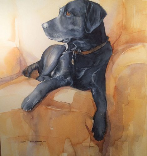 Monty - Dog Portrait
