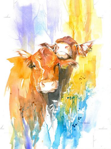 Cows