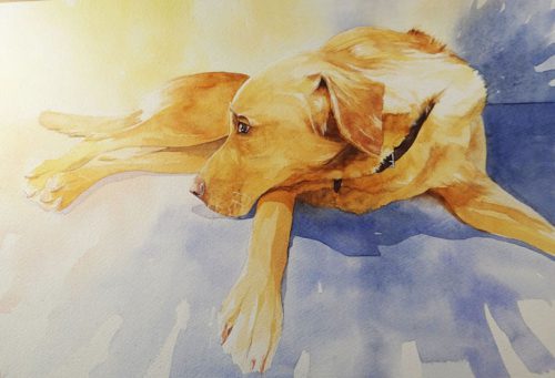 Golden Lab